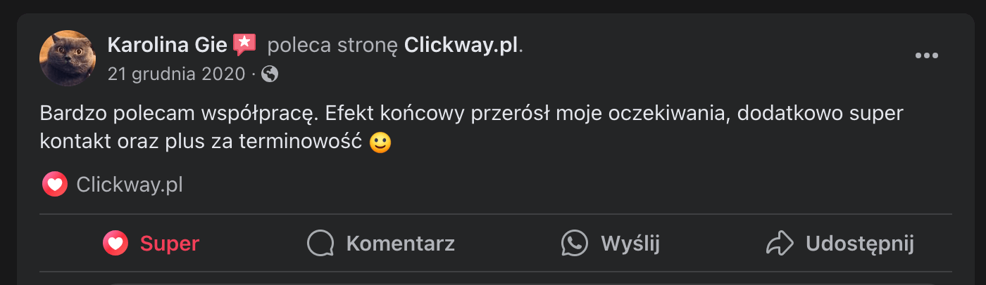 Karolina opinia zrzut ekranu